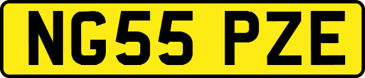 NG55PZE