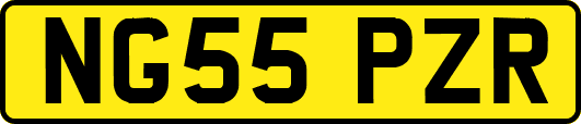 NG55PZR