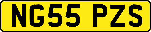 NG55PZS