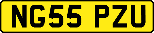 NG55PZU