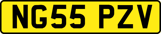 NG55PZV
