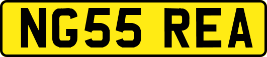 NG55REA