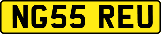 NG55REU