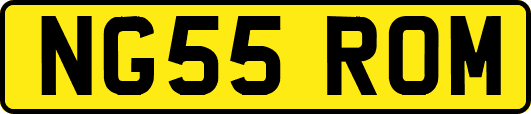 NG55ROM