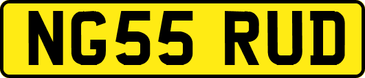NG55RUD