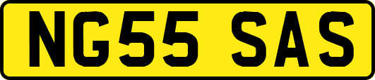 NG55SAS