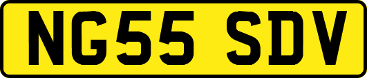 NG55SDV