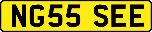 NG55SEE