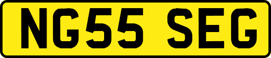 NG55SEG