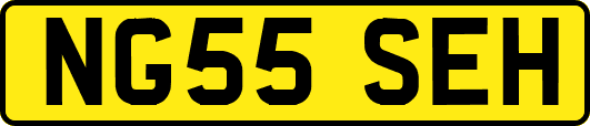 NG55SEH