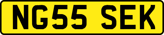 NG55SEK