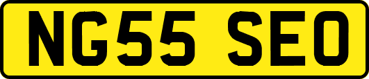 NG55SEO