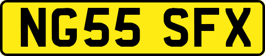 NG55SFX