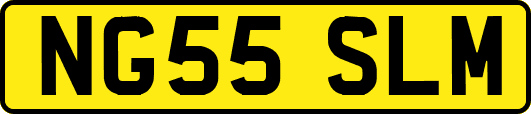 NG55SLM