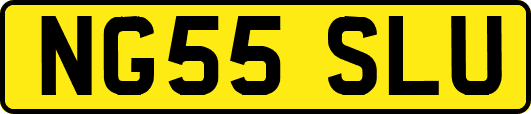 NG55SLU