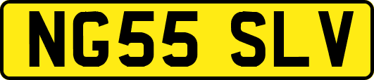 NG55SLV
