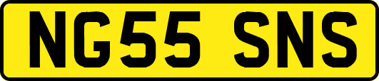 NG55SNS