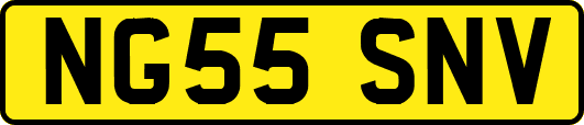 NG55SNV