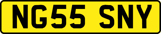 NG55SNY