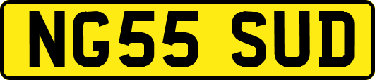NG55SUD