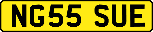 NG55SUE