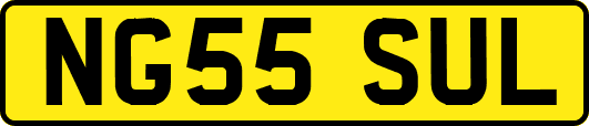 NG55SUL