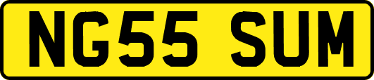 NG55SUM