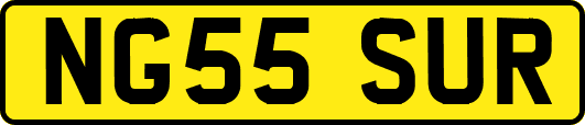 NG55SUR
