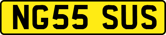 NG55SUS