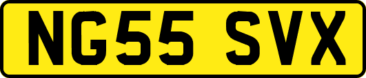 NG55SVX