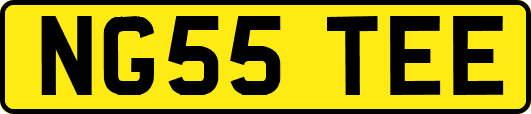 NG55TEE