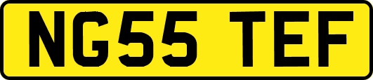 NG55TEF