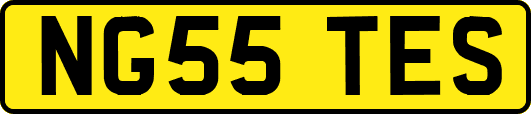 NG55TES