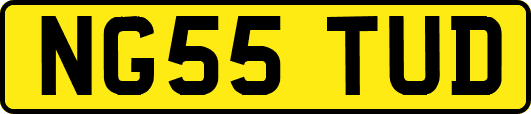 NG55TUD