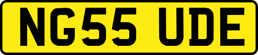 NG55UDE