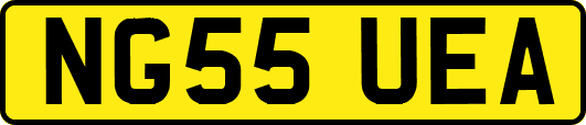 NG55UEA