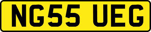 NG55UEG