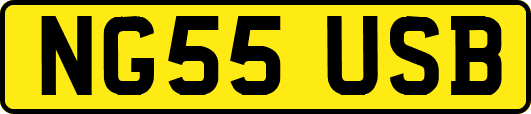 NG55USB
