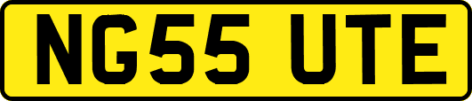 NG55UTE