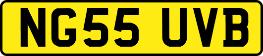 NG55UVB