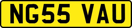 NG55VAU
