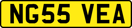 NG55VEA