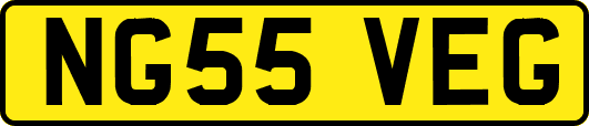 NG55VEG