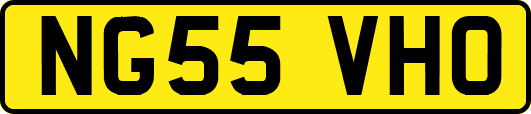 NG55VHO
