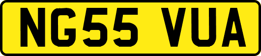 NG55VUA