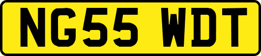 NG55WDT