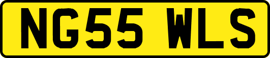 NG55WLS