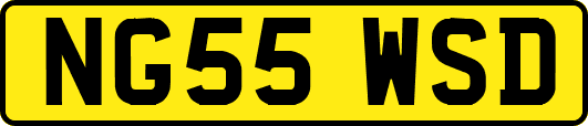 NG55WSD