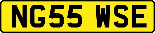 NG55WSE