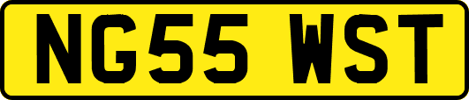 NG55WST